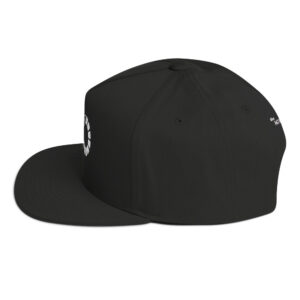 The Big NO Snapback